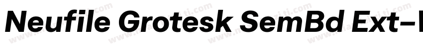 Neufile Grotesk SemBd Ext字体转换
